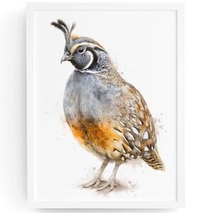 Watercolor Quail Wall Art Print, Unframed - Vibrant Nature-Inspired Home Decor